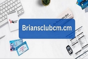 Navigating Finance with Briansclub: A Seamless Banking Experience